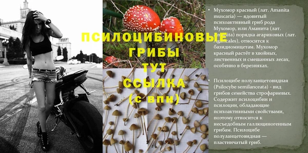 спайс Лиски
