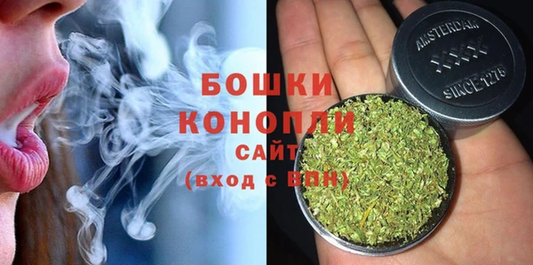 прущие грибы Магас
