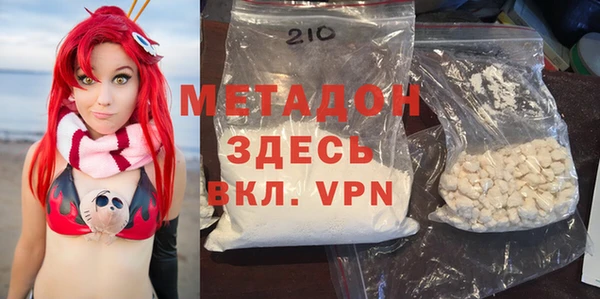 прущие грибы Магас