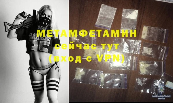 прущие грибы Магас